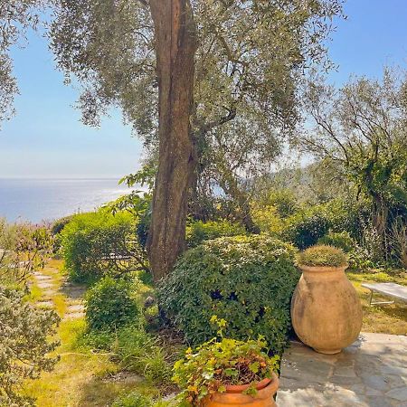 L'Uliveto Di Santa Con Piscina Vila Santa Margherita Ligure Exterior foto