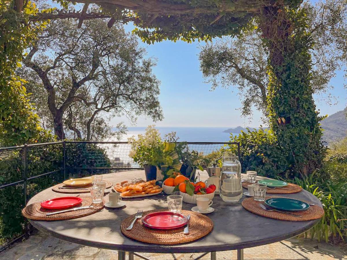 L'Uliveto Di Santa Con Piscina Vila Santa Margherita Ligure Exterior foto